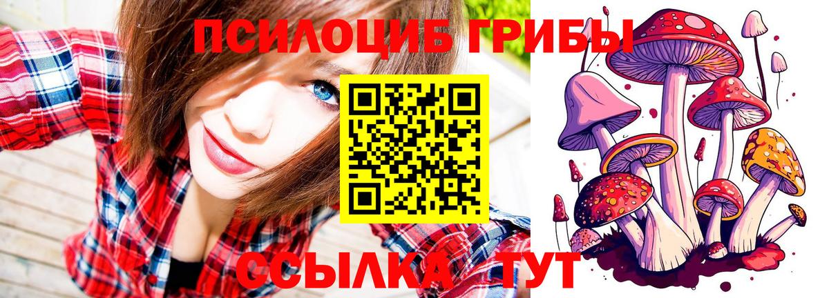Псилоцибиновые грибы прущие грибы Рыбинск